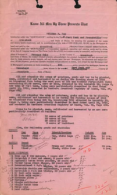 p. 17