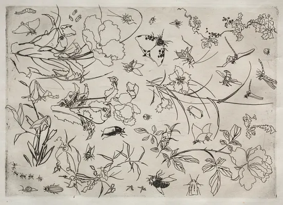 Dinner Service (Rousseau service): Flowers and Insects (no. 15)