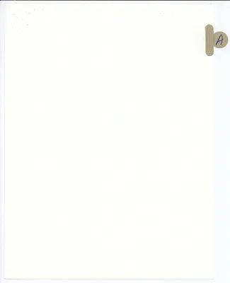 p. 8