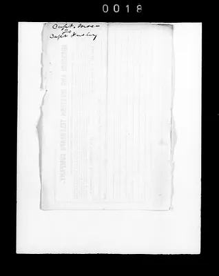 p. 29
