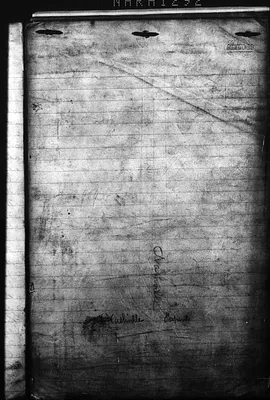 p. 42