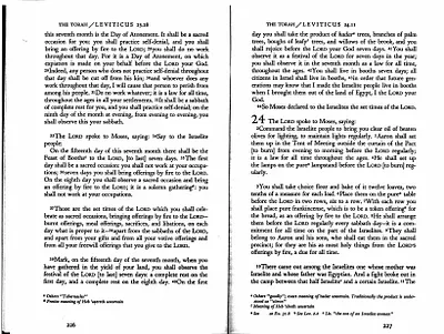 p. 55