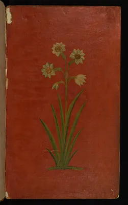 p. 2