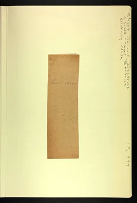 p. 26