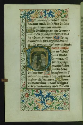 p. 11