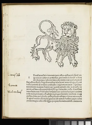 p. 18