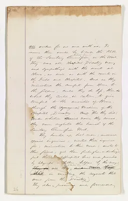 p. 29