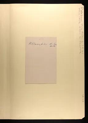 p. 7
