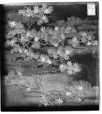 p. 5
