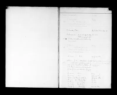 p. 11
