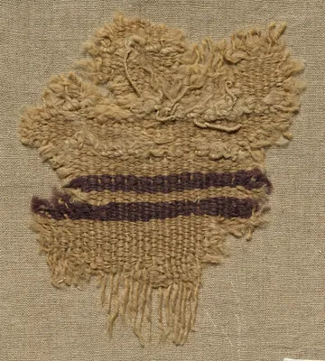 Wool Fragment