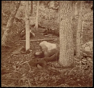 The slaughter pen at Gettysburg