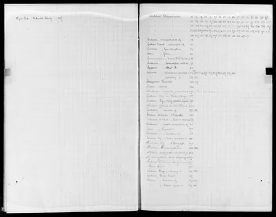 p. 27