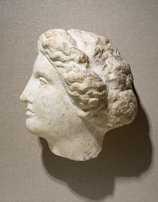 Head of a Woman