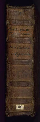 p. 7