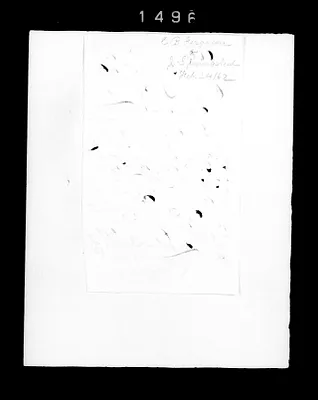 p. 7