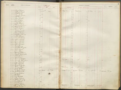 p. 8