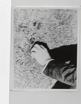 p. 8