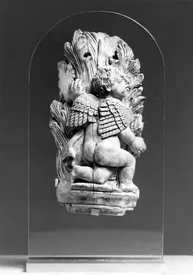 Putto and Acanthus