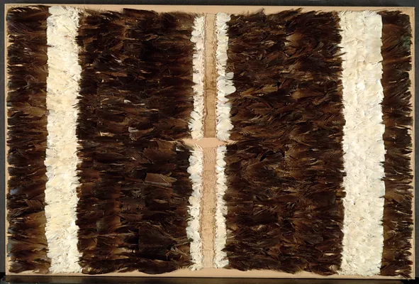 Feathered Tabard or Tunic