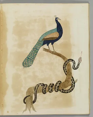 Emblematical Figures, Representations and Etc. to Please the Eye
