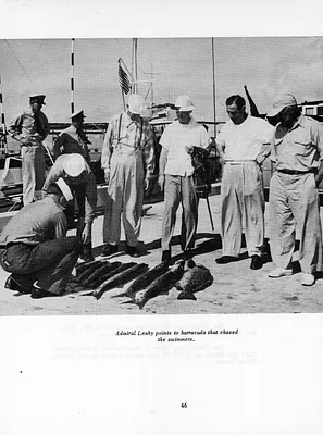 p. 49