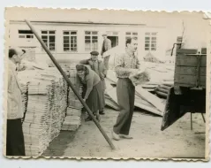 BVA 1008