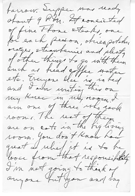 p. 3