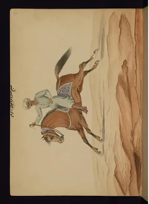 Horse Training
