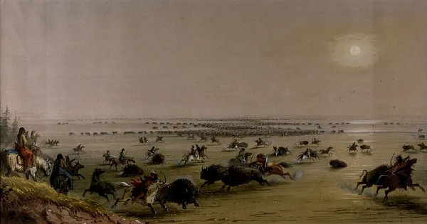 A ""Surround"" of Buffalo by Indians
