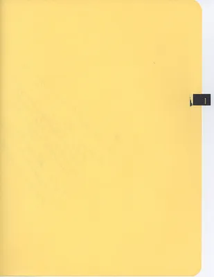 p. 21