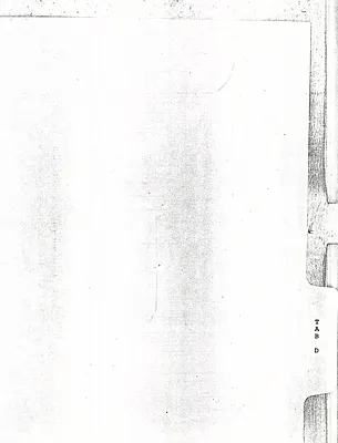 p. 20