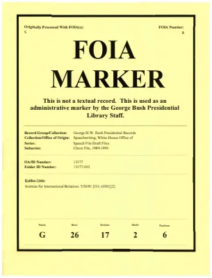 Institute for International Relations 7/30/91 [OA 6030] [2]