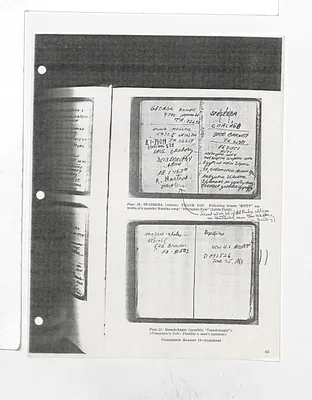 p. 31
