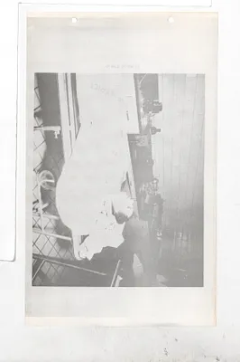 p. 14