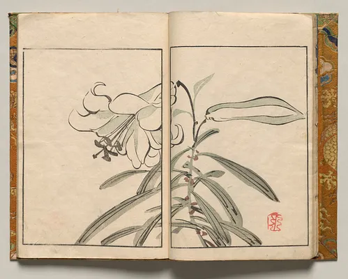 Lily, Design Seven from Shazanrō Picture Book