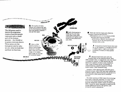 p. 59