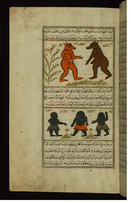 Two Jinni of Aturan Island and Three Pygmies Found in the Sea