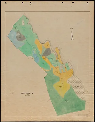 Tom Swamp IX 1937 stand map
