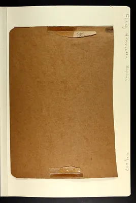 p. 3