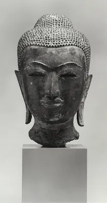 Head of the Buddha