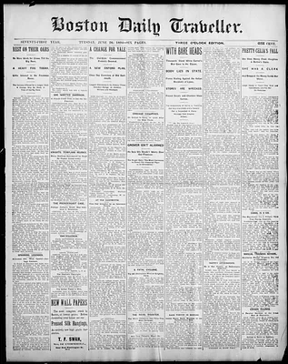 Boston Daily Traveller