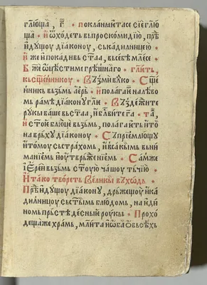 p. 41