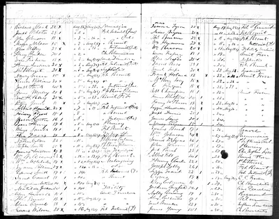 p. 14