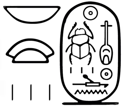 p. 5