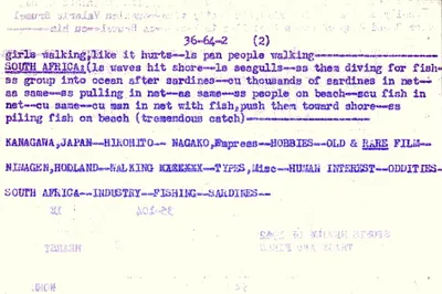 p. 49