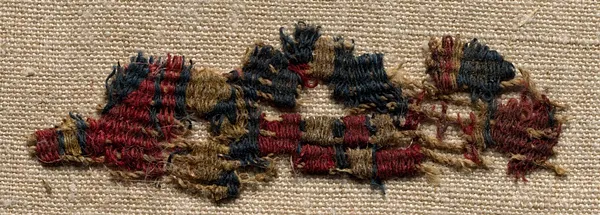 Wool Fragment