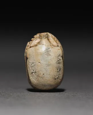 Scarab