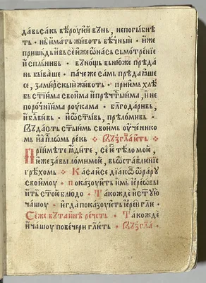 p. 51