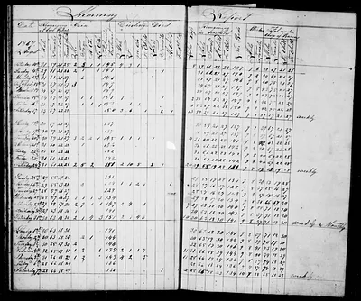 p. 19